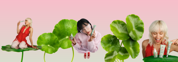 Centella Asiatica : pilier de notre Korean Skin Therapy