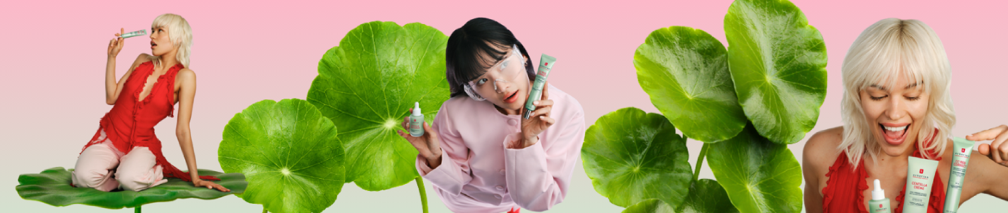 Centella Asiatica : pilier de notre Korean Skin Therapy