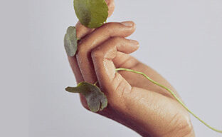 Centella Asiatica