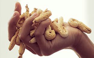 Complexe Ginseng Blanc
