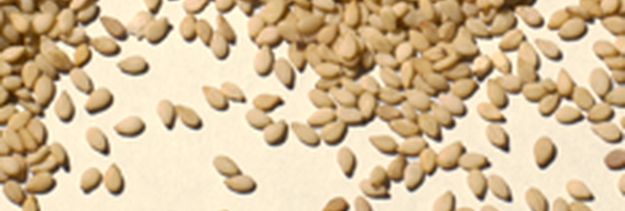 Lait de Sésame