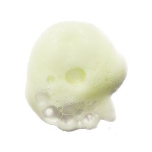 Mousse nettoyante visage aux 7 Herbes, large (1) 145 ml | Erborian